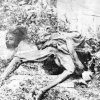 Բռնաբարված, տանջամահ արված և գլխատված հայ կնոջ մարմին Բիթլիսում 