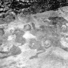Скелеты армянских женщин и детей на аллее церкви св. Карапета в Муше