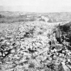Останки заживо соженных армян в хлеву в Али-Зрне